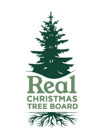 Real Christmas Tree Board